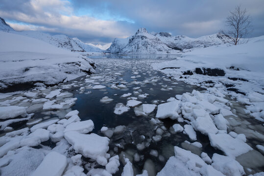 Ice filled bay with distant mountains at Flakstadpollen, Flakstad&radic;&prod;y, Lofoten Islands, Noway