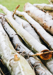 Pile of wooden timber on grass, stack of logs close up
