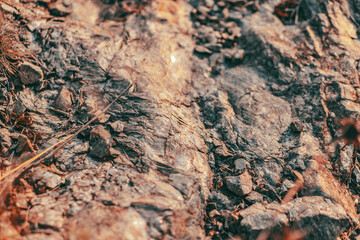 texture of stone