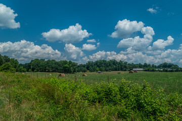 Fototapeta na wymiar Farm field with rolled hay bales