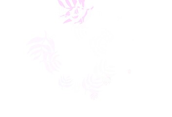 Light Purple, Pink vector doodle template with leaves.