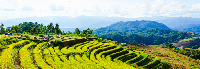 Beautiful step of rice terrace paddle field and tourist camping tent in  Chiangmai, Thailand , Southeast Asia. Travel concept. © Samruay