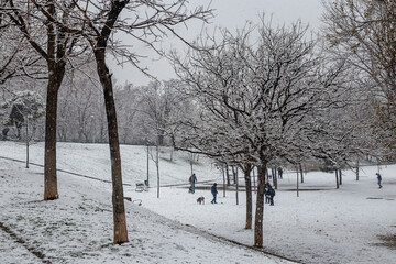 snowy gardens in the city of Madrid with the snowfall of January 2021