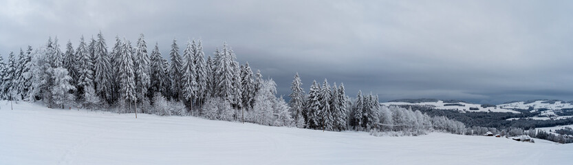 Winter im Schwarzwald am Herzogenhorn