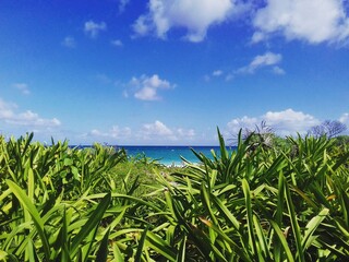 Vista al mar en el caribe