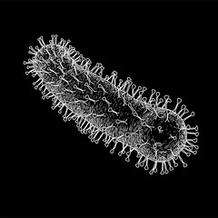 White line virus drawing isolated on black background. Bacteria and Germs Cancer Microbial Cells Fungi Illustration