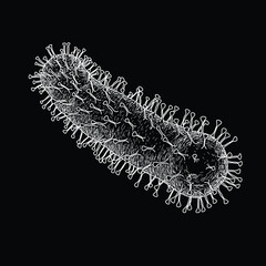 White line virus drawing isolated on black background. Bacteria and Germs Cancer Microbial Cells Fungi Vector Illustration