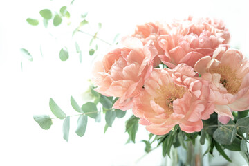 Bouquet of peonies on a white background. Eucalyptus and peonies bouquet in a glass vase. Beautiful bouquet of flowers.