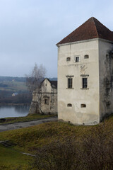 Svirzh castle