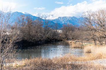 安曇野市　重光の池