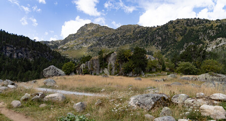 Fototapeta na wymiar Valle de Arán