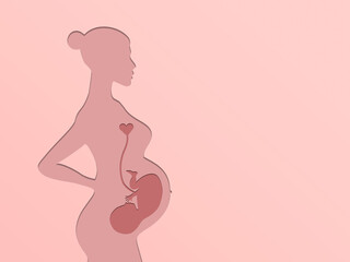 Silhouette of a pregnant woman on a pink background. Silhouette of the embryo. The concept of the birth of a child. The girl with the belly. The duration of pregnancy. Waiting for the birth of a baby.
