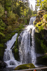 Obraz premium Wasserfall Triberg