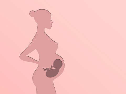 Silhouette of a pregnant woman on a pink background. Silhouette of the embryo. The concept of the birth of a child. The girl with the belly. The duration of pregnancy. Waiting for the birth of a baby.