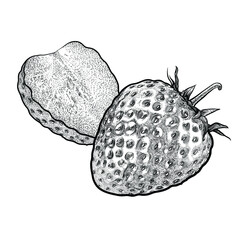 Line drawing strawberry, one and a half It is a winter fruit that is popular all around.