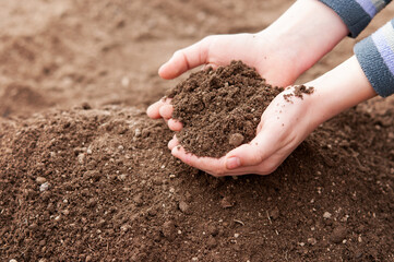 Child's hands filled with fertile soil - nature conservation