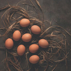 Chicken brown eggs on hay, dark rustic background. Top view, flat lay. Toned square photo.