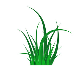 Green grass flat icon. Silhouette of grass. Green lawn. Template for your design. Vector illustration.
