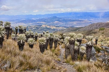 Foto op Canvas Beautiful view of the Páramo de Oceta trek, Monguí, Boyaca, Colombia © raquelm.