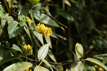 Hermoso y tranquilo paisaje de naturaleza con puentes, caminos y lagos