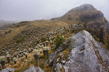 Fototapeta na wymiar Beautiful view of the Páramo de Oceta trek, Monguí, Boyaca, Colombia