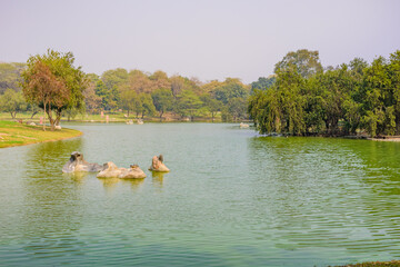 Lake at Raj Ghat for groundwater rejuvenation. Raj Ghat is a memorial dedicated to Mahatma Gandhi in New Delhi, India.