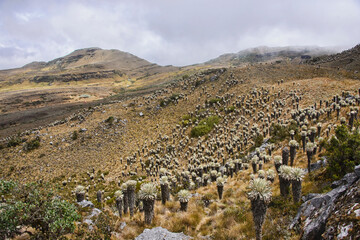 Beautiful view of the Páramo de Oceta trek, Monguí, Boyaca, Colombia
