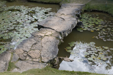 hermoso piasaje con arroyos y flores, ambiente natural tranquilo