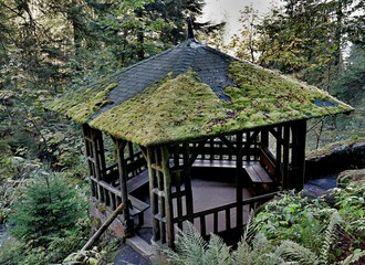 gazebo in the forest