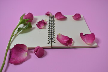 Blank notebook
Roses in the pink background
Valentines day ideas