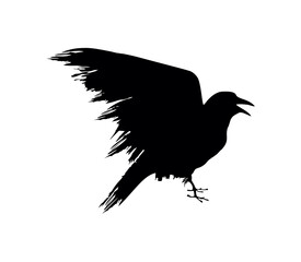 Black Crow Vector Sign