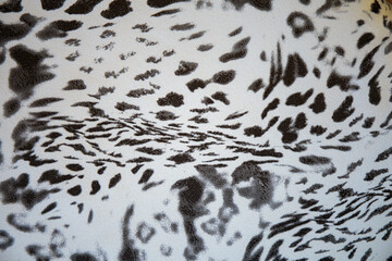 Black and white abstract camouflage. The concealment pattern on a fabric. Conception of winter masking.