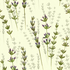 Flowers and stems of lavender - watercolor. Seamless patterns. Floral motives. Provence. Abstract decorative composition. 
