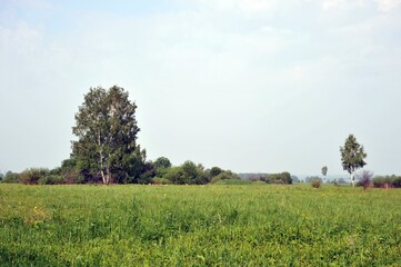 Summer landscape at a military training ground in Western Siberia
