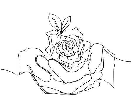 Continuous line drawing Hands holds a flower rose . One line trendy style. Hand drawn single line. Vector illustration.Template for Valentine's Day, romantic collection, print, wedding, invition, etc.