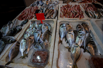 fresh variety of fish in the market
