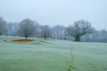 Fresh morning walk across a frozen Cowdray golf course