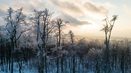 Fototapeta na wymiar Aerial view of sunset above snow covered trees in a winter forest