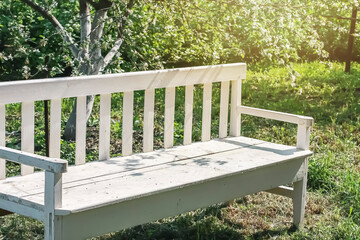 White wooden bench in the garden in summer.