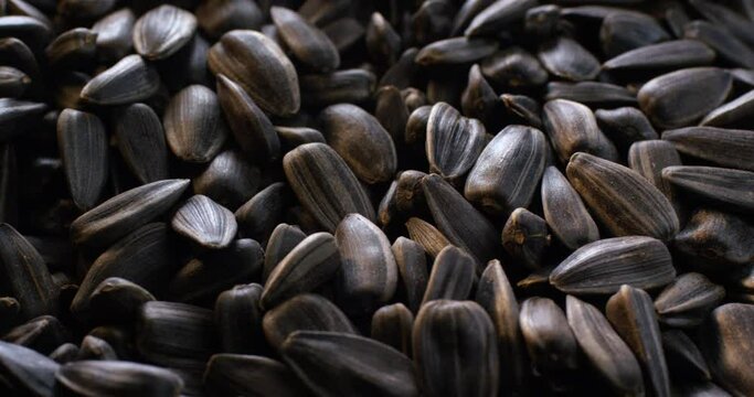 Close up view of fried black sunflower seeds in slow motion.