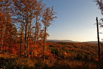 Herbstlicher Th&uuml;ringer Wald