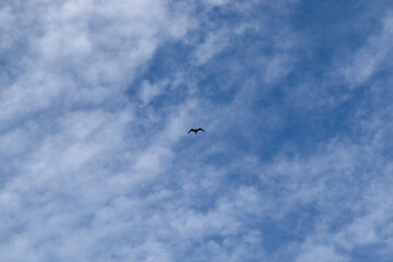 paragliding in the sky