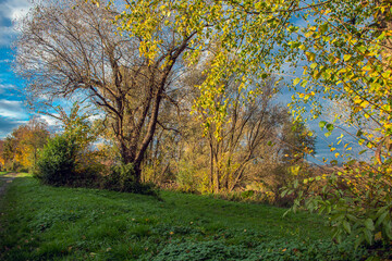 Fototapeta premium Landschaft