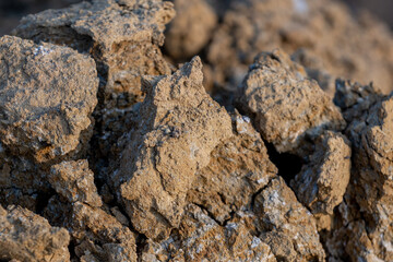 Close up soil texture background, Organic gardening