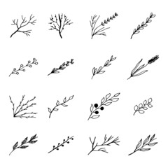 Obraz premium twigs with leaves. vector sketch set