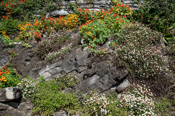 giardino roccioso