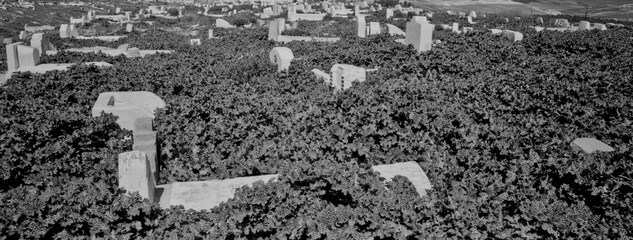 Fototapeta premium Cementerio. Fes el Bali. Fez.Ciudad Imperial.Marruecos.Africa.