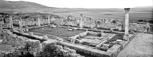 Fototapeta premium Ciudad Romana de Volubilis(II d.c.), yacimiento arqueologico.Marruecos.