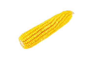 yellow corn on the cob on a white background