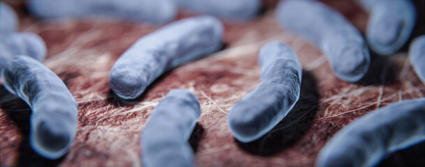 Legionellen Bakterien im Körper - 3D Visualsierung unter dem Mikroskop - obrazy, fototapety, plakaty